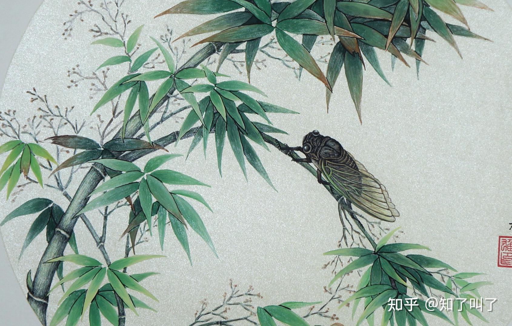 《蝉》 - 知乎