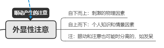 仁者 當然無敵 作者 邵明 新大學政論專欄