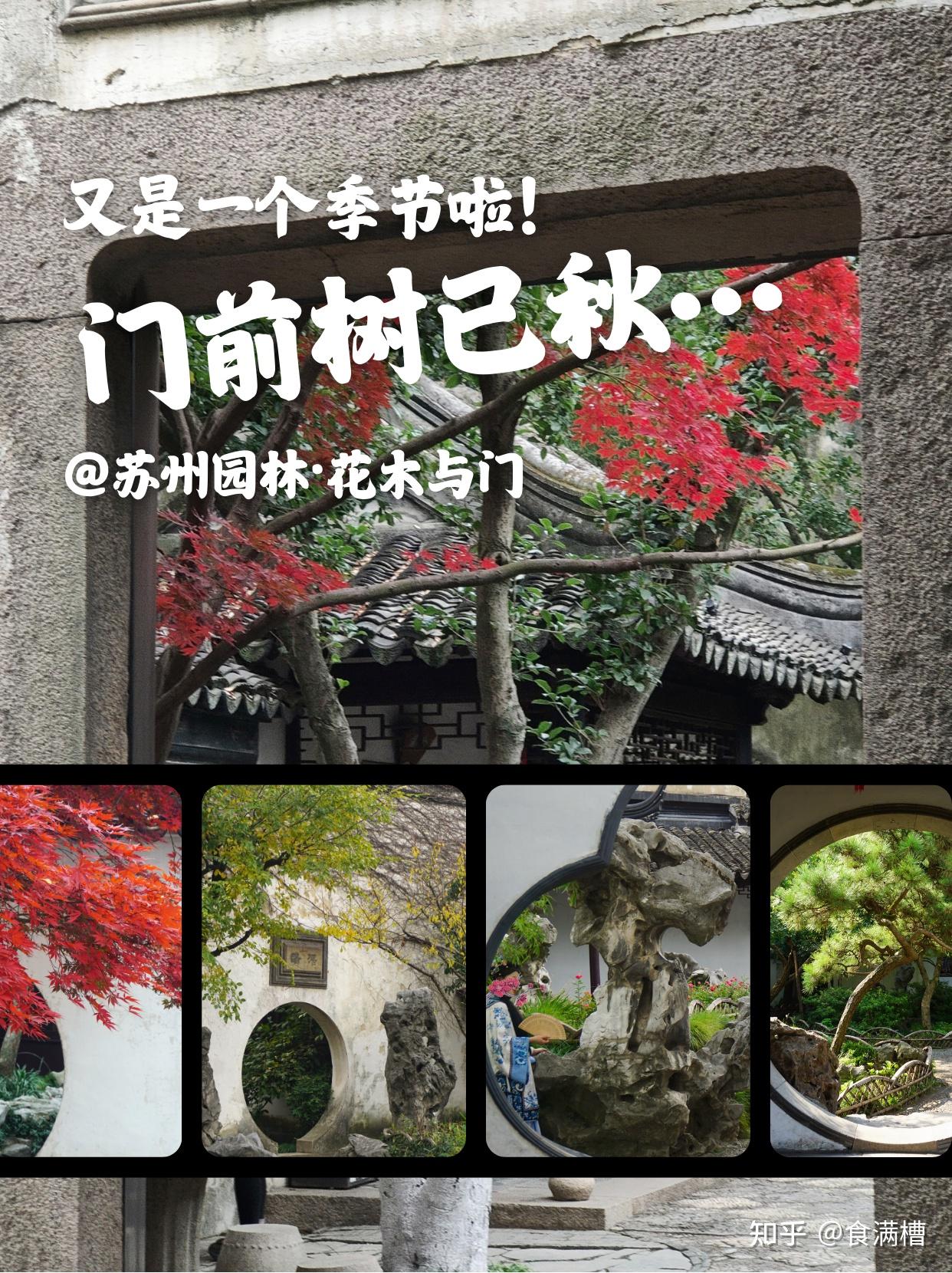苏州园林图集丨花木&门窗&山石&建筑&水 - 知乎
