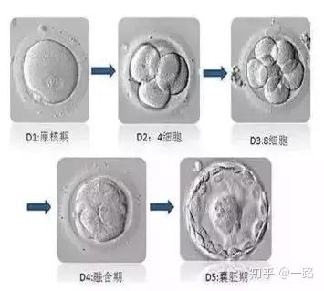 v2-5aa3784a3bd399d27d247bc3034045c6_b.jpg
