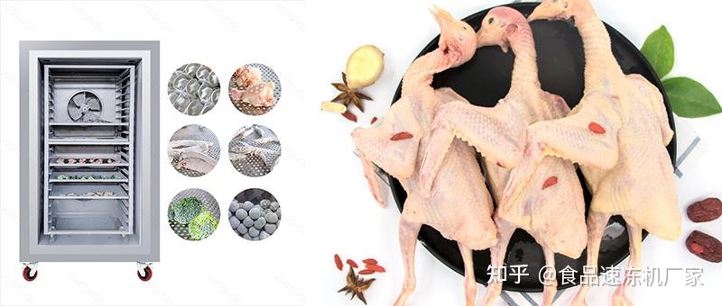 速冻鸡产品这么简单,速冻鸡翅鸡腿鸡爪设备厂家给你介绍 - 知乎
