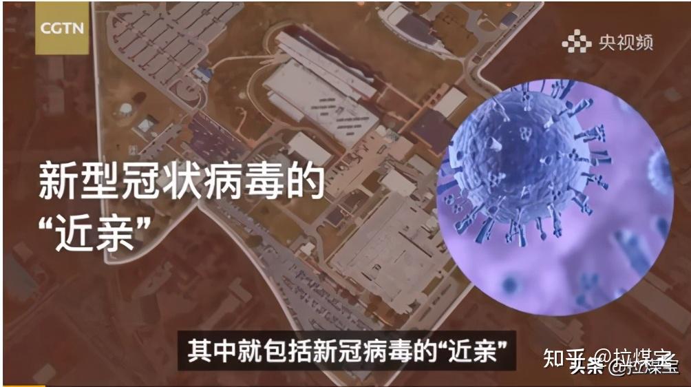 阴谋揭开美国德特里克堡生化实验基地新冠源头