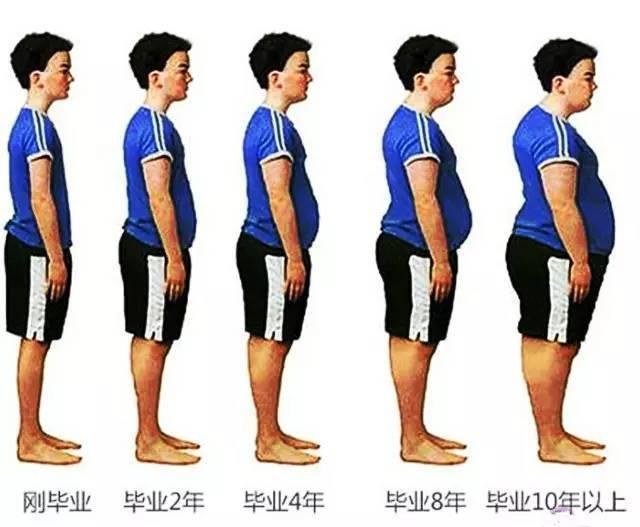 为什么毕业之后都会越来越胖? - 知乎