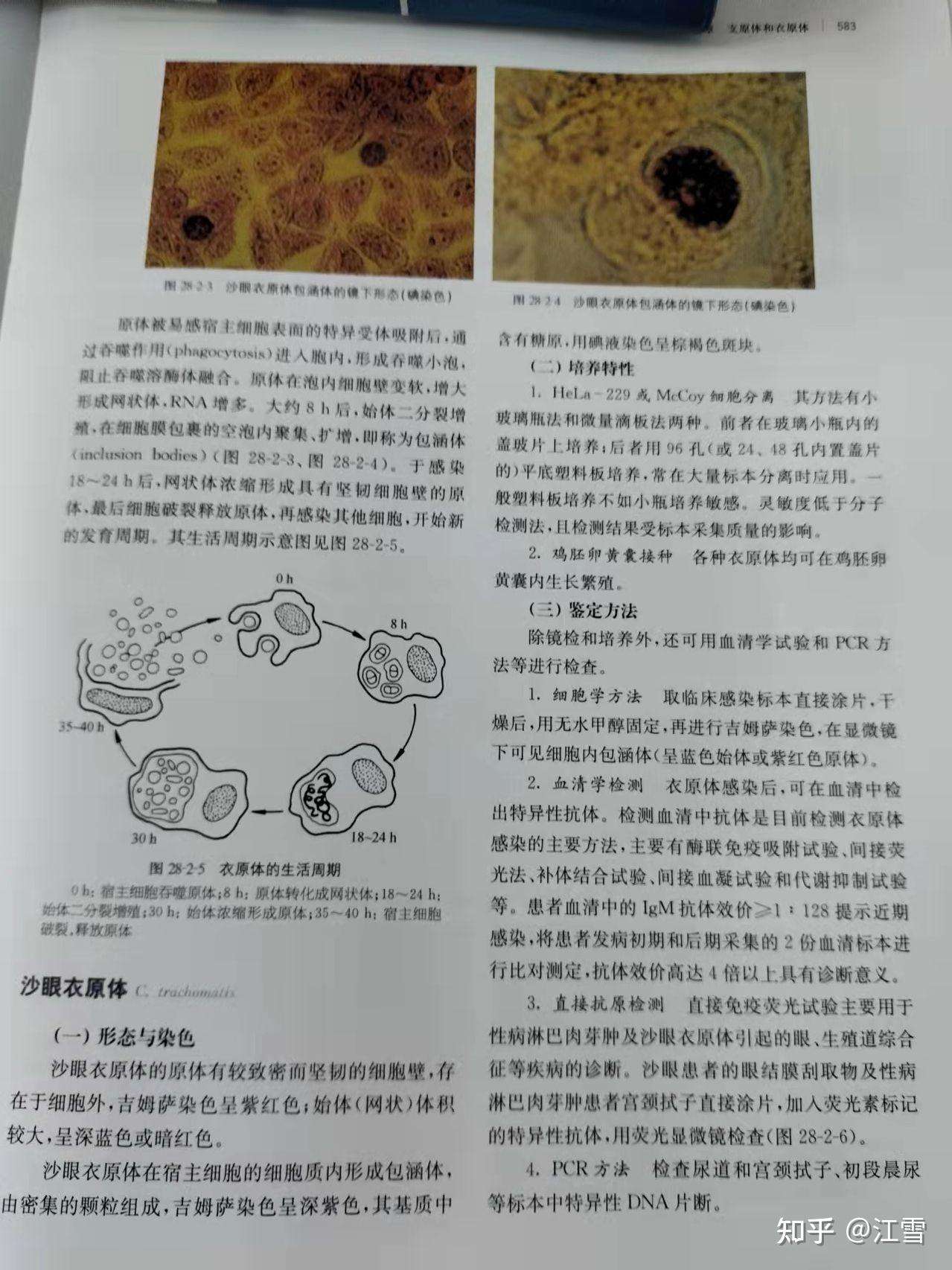 临床微生物学诊断与图解（第四版）下册支原体衣原体580至584页 知乎 2892