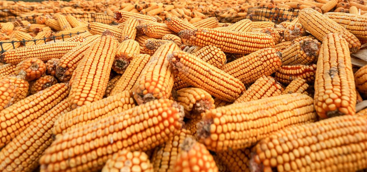 2,粮食丰产,农民富足