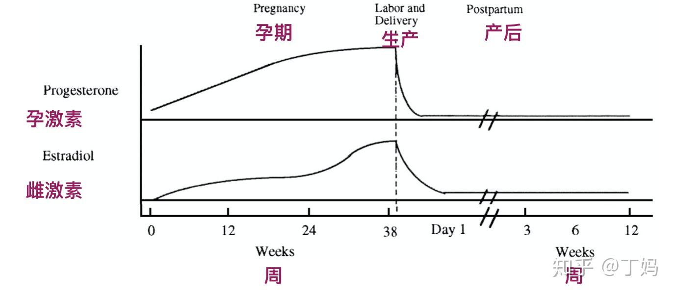 我经历了严重的产后脱发but做好这几点现在头发比孕前还浓密