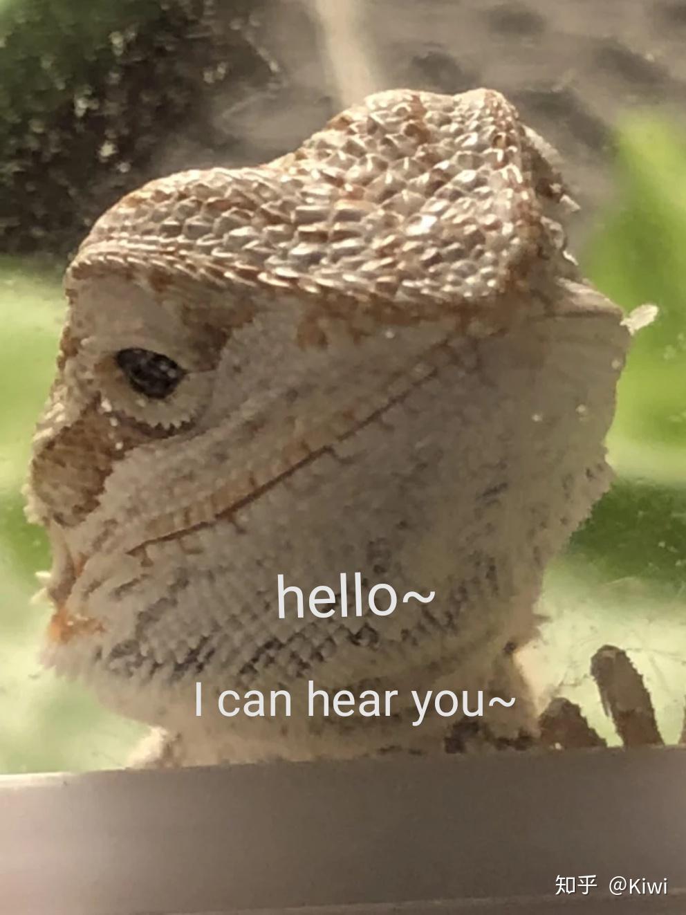 v2-5af3698973e93a5f4456baee3242bd56_r.jpg