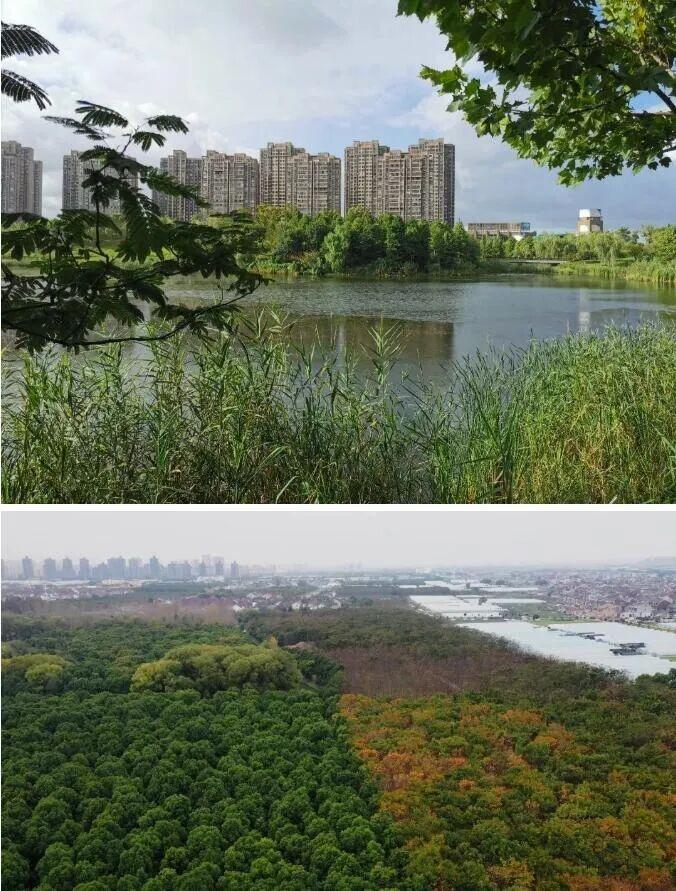 宝山主城首个抬板新房「大华锦樾」展厅现已开放！将推出建面约108-126m²小高层及建面约141-170m²叠墅 - 知乎
