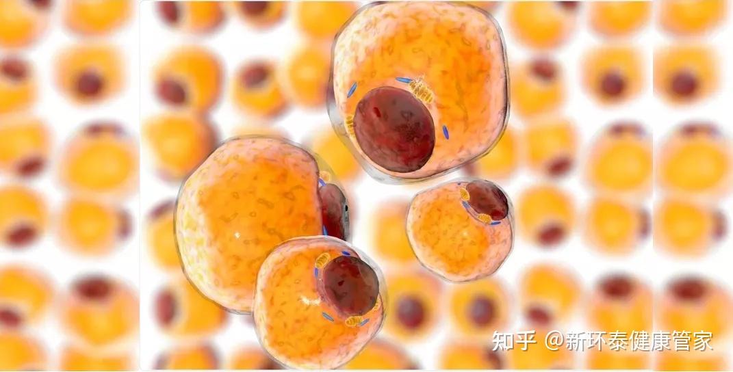 干细胞价格_干细胞的价格表_市面干细胞多少钱一支