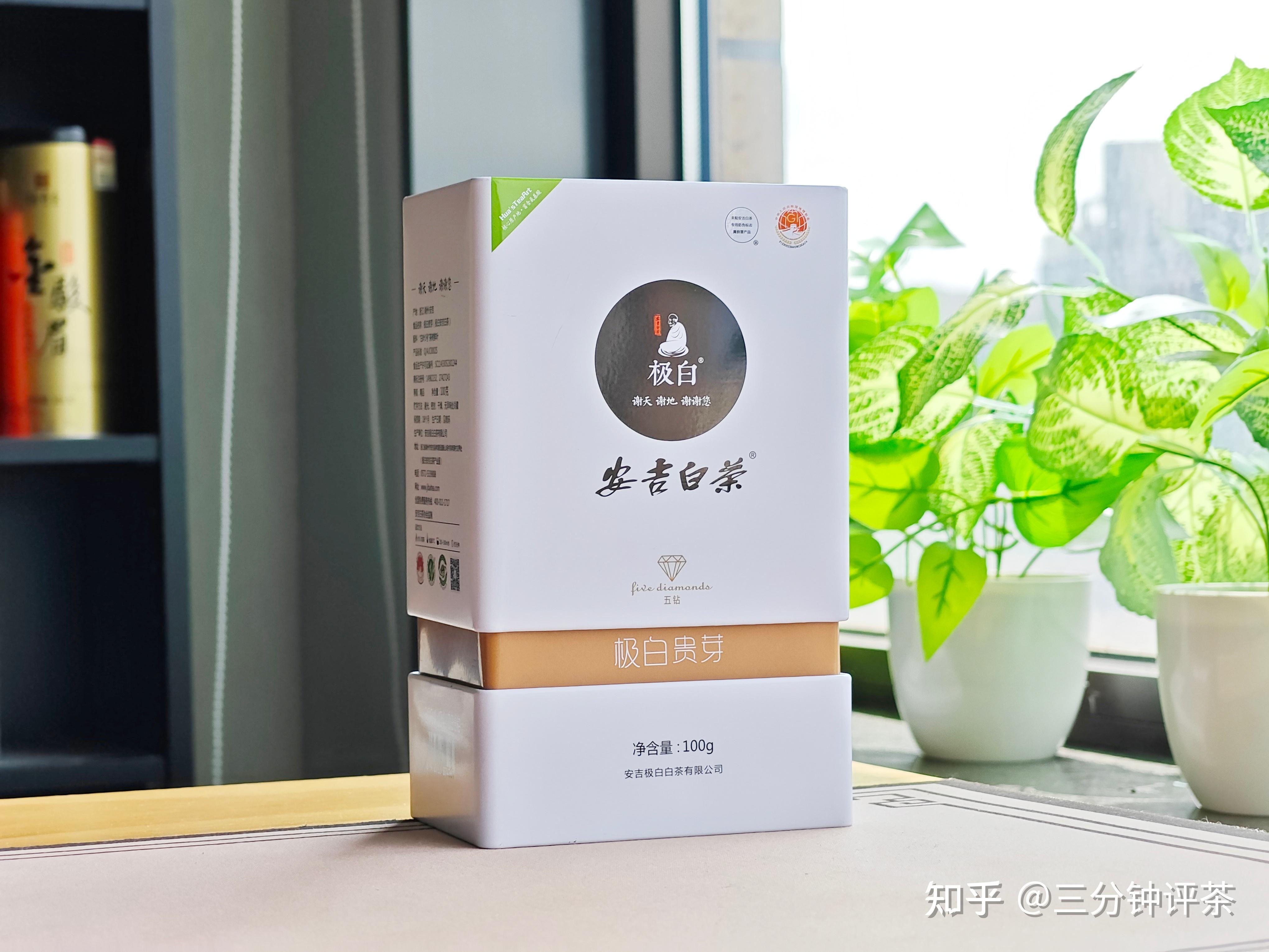 极白2024安吉白茶(贵芽五钻明前精品)品鉴| 一日一茶 no.201