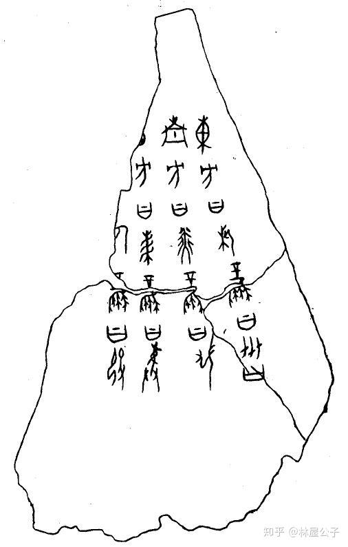 出土三千年前的一片牛肩胛骨颠覆了尚书史记的重大记