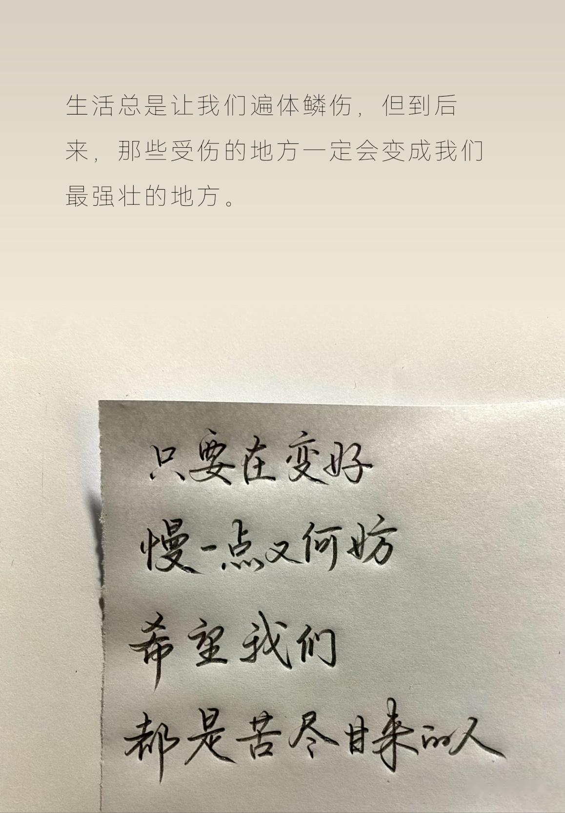 遇到挫折与失败 如果你停止，就是低谷； 如果你继续努力，就会看见高峰。 - 知乎