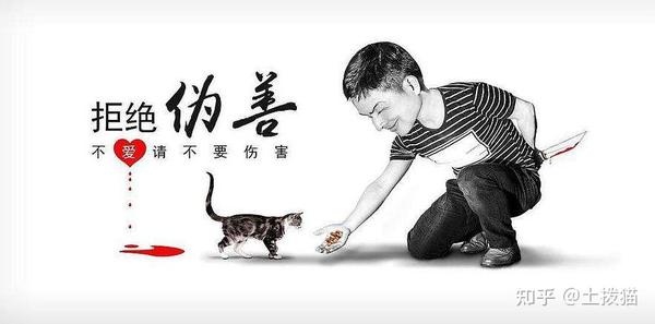 何为伪善—你的生活中有伪善的人吗？ - 知乎