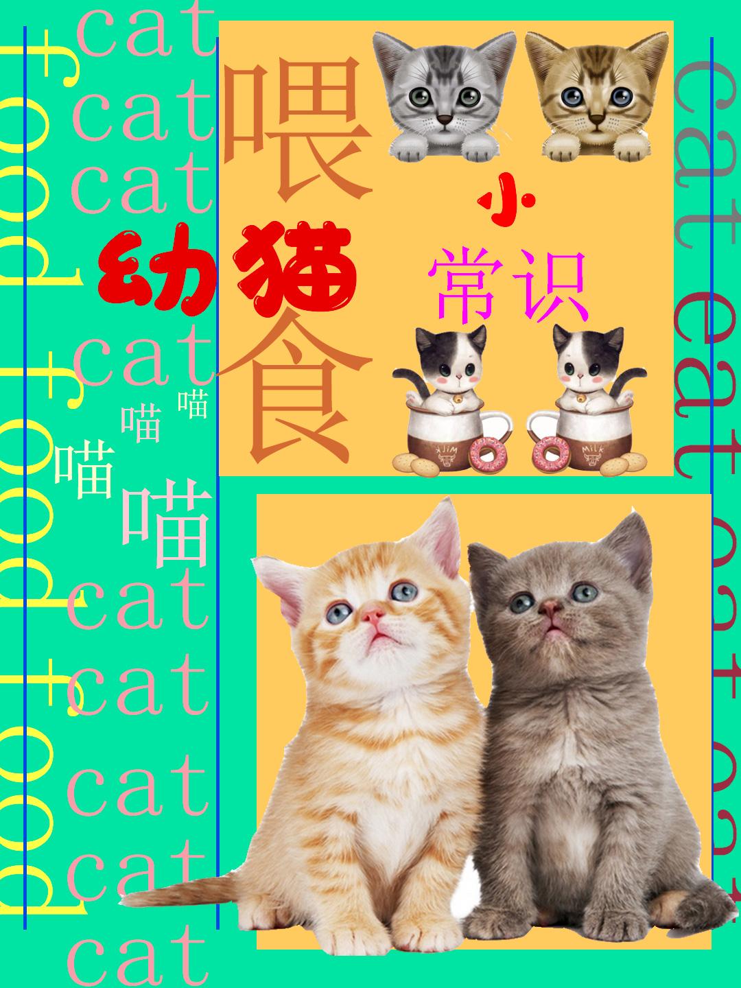 v2-5b2d0f91e05d7739eb4ef4943feb5c88_1440w.jpg?source=172ae18b