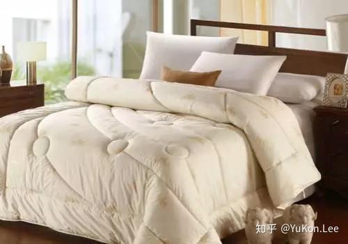 一般多久洗一次被子 v2-5b2e12eddea6f471f2349ed1340354aa_r.jpg