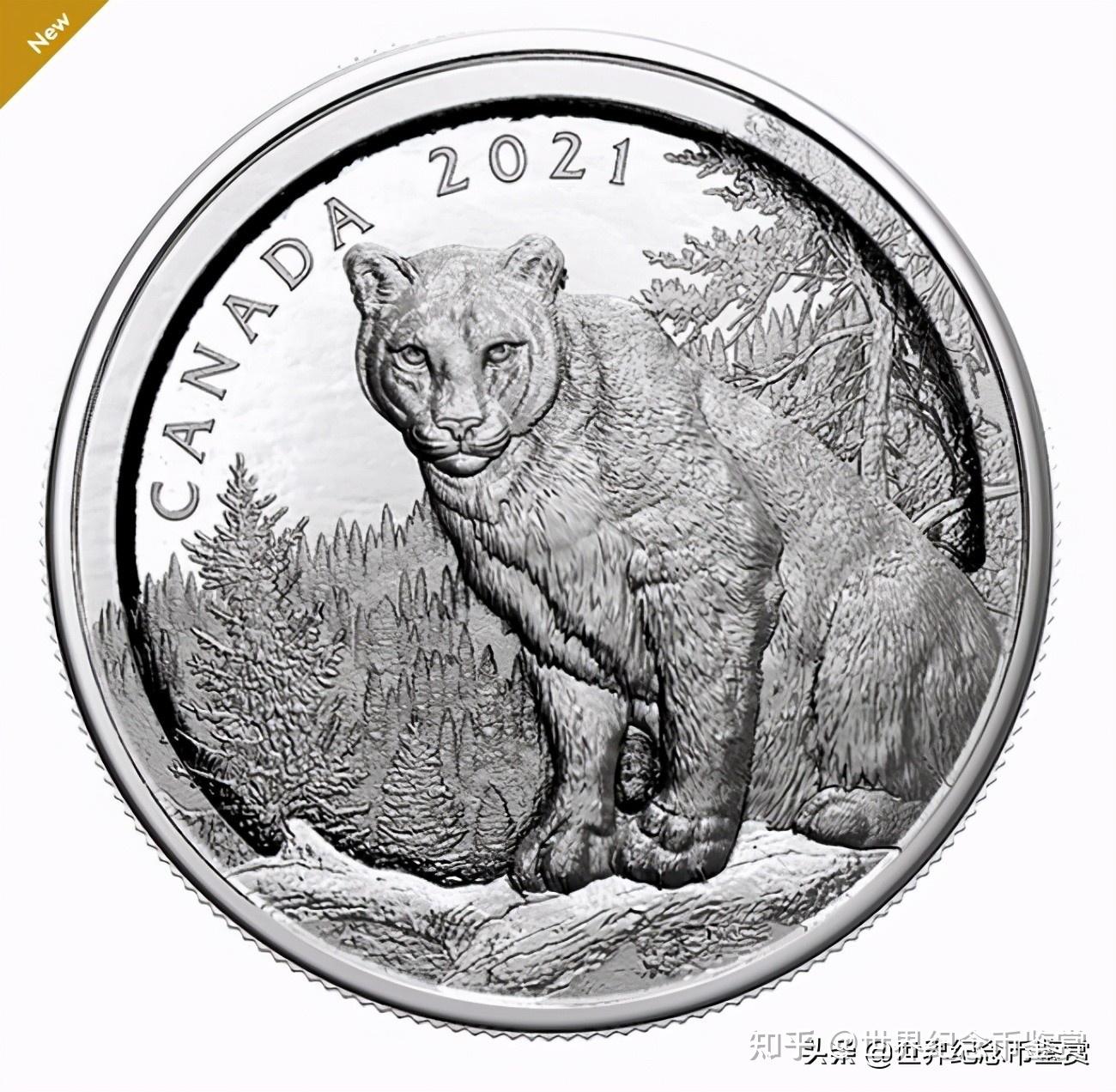 一枚硬币，多层雕刻的艺术品：2021年加拿大美洲狮银币欣赏- 知乎