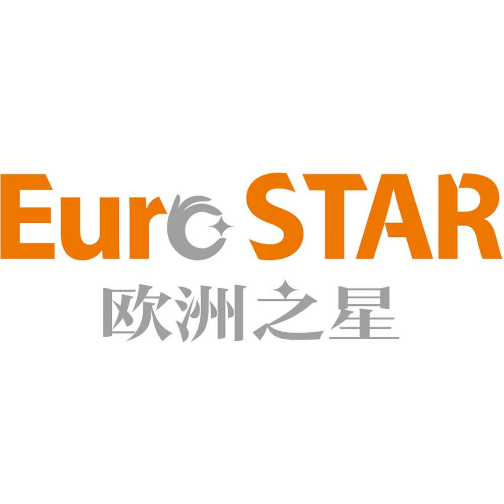 欧洲之星小语种打造中国高端语言培训模式