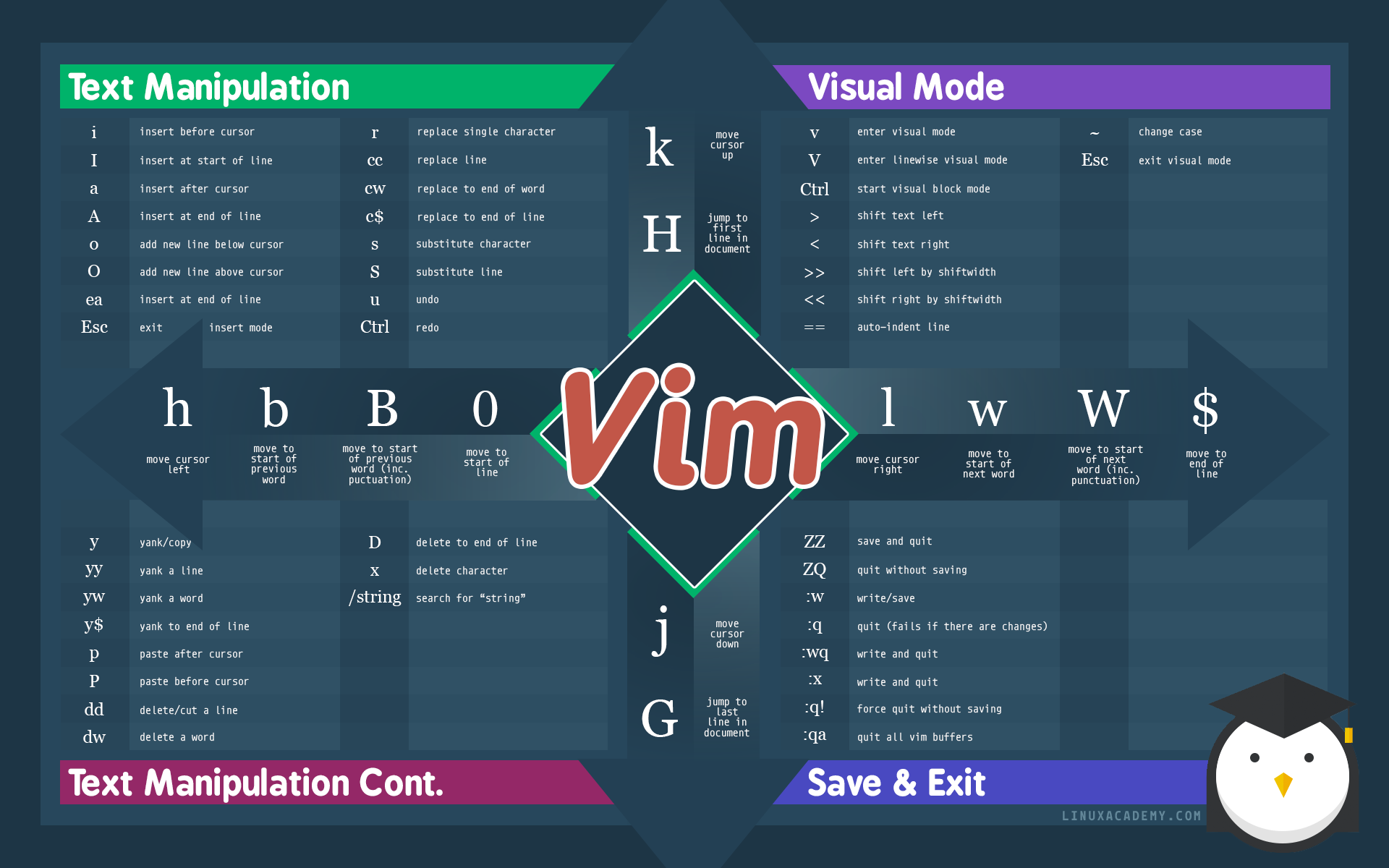 Разница между word и word vim