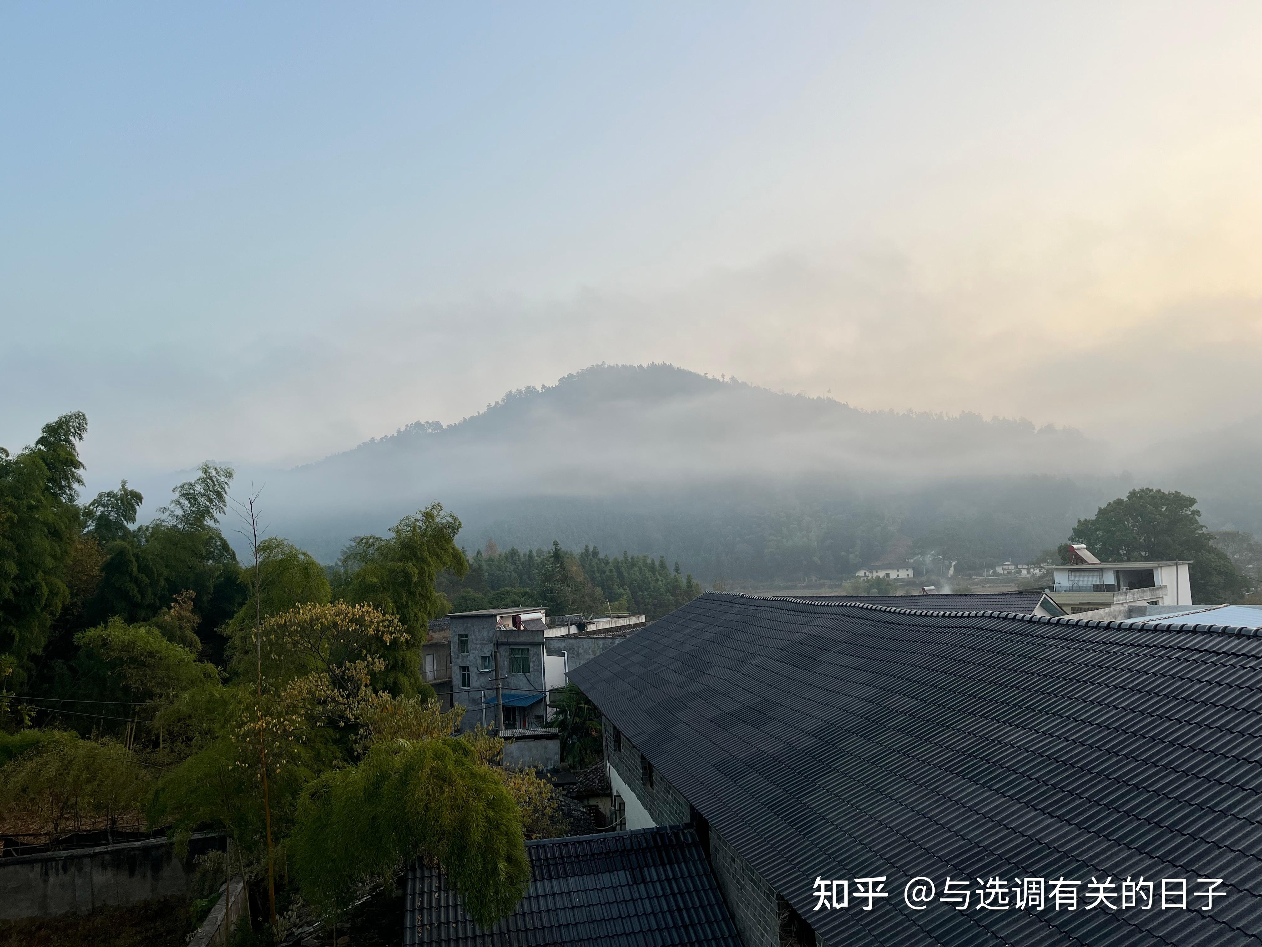 雨后的“凉风” - 知乎