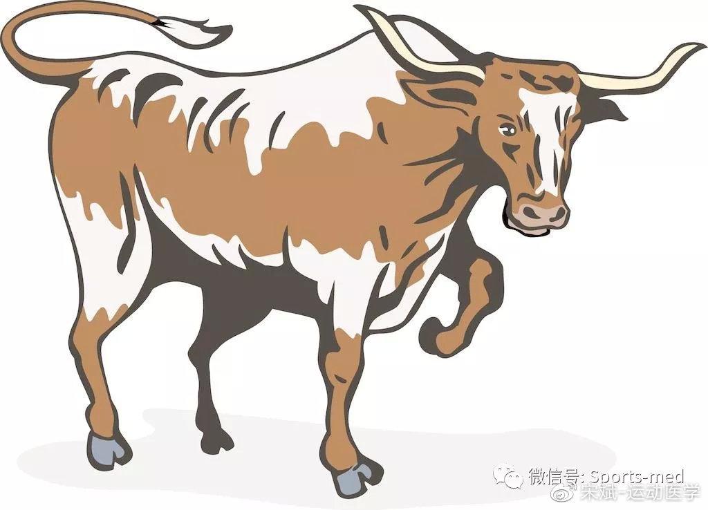 压力,但是他的血液供应却非常差,所以说他是一个"孺子牛"一点也不为过