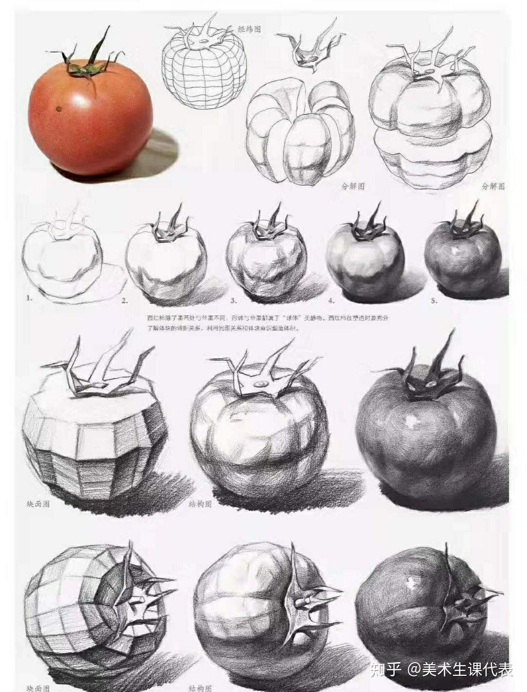 素描静物单个步骤图片图片