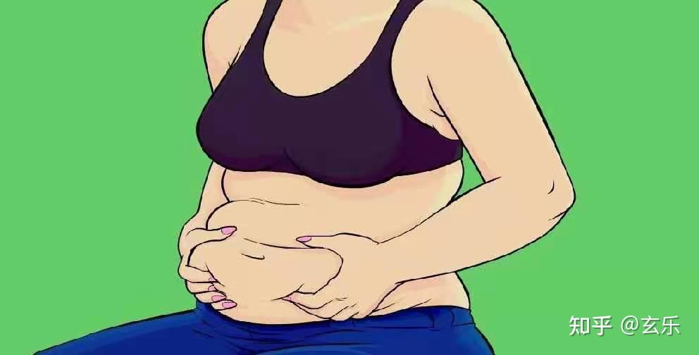 为什么女人腰腹容易堆积脂肪赘肉 知乎