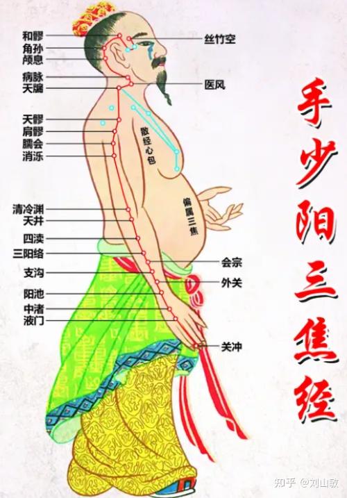 三焦经:人体健康的总指挥 - 知乎