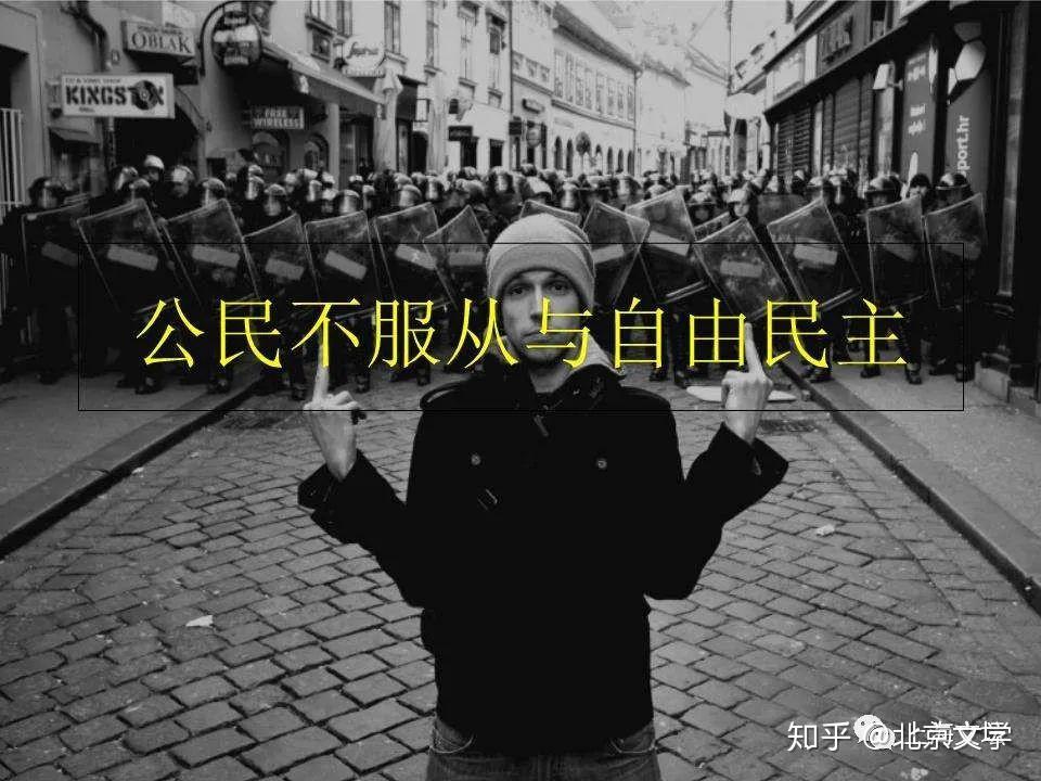 杂文疫情下西方所谓的自由魏鑫怡