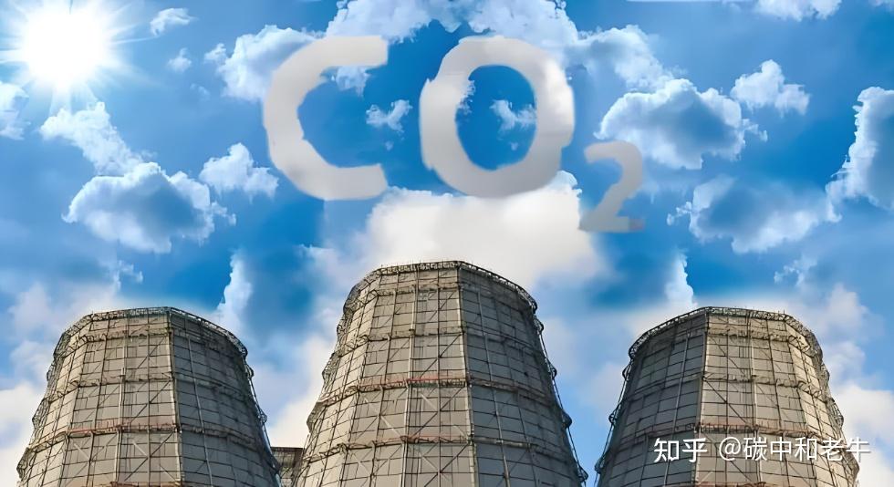 国际自愿碳汇市场是什么 - 知乎