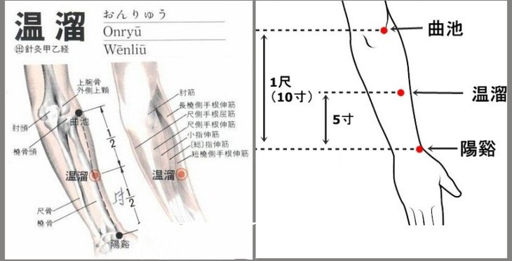 手阳明大肠经之温溜穴