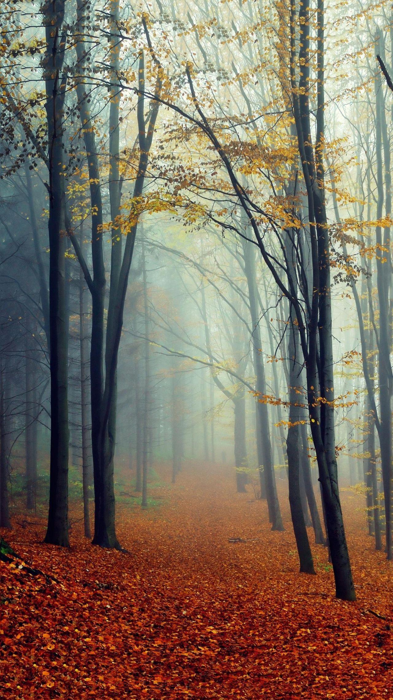 有哪些高质量的微信聊天背景图片?