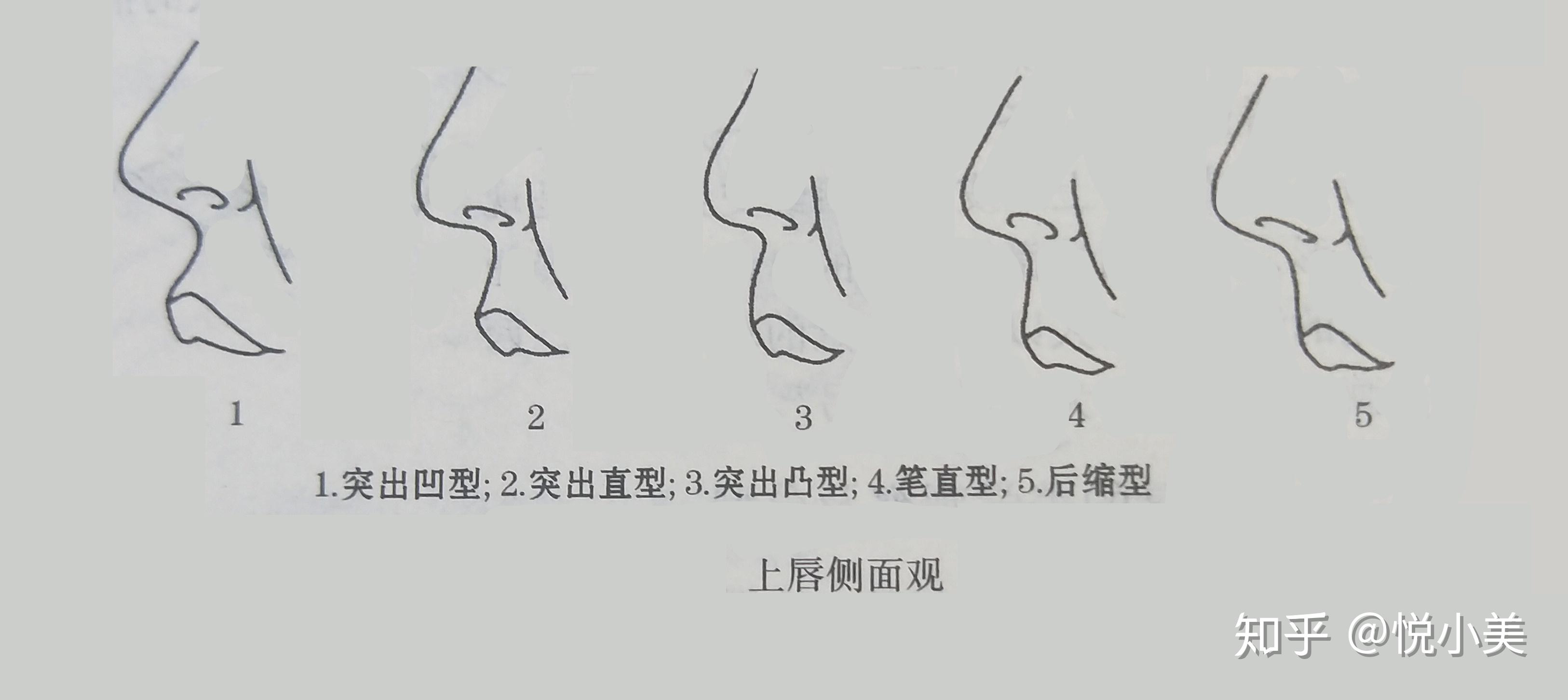 会考虑这么全面,一般觉得正脸好看就可以了,而忽略了侧脸这一审美标准