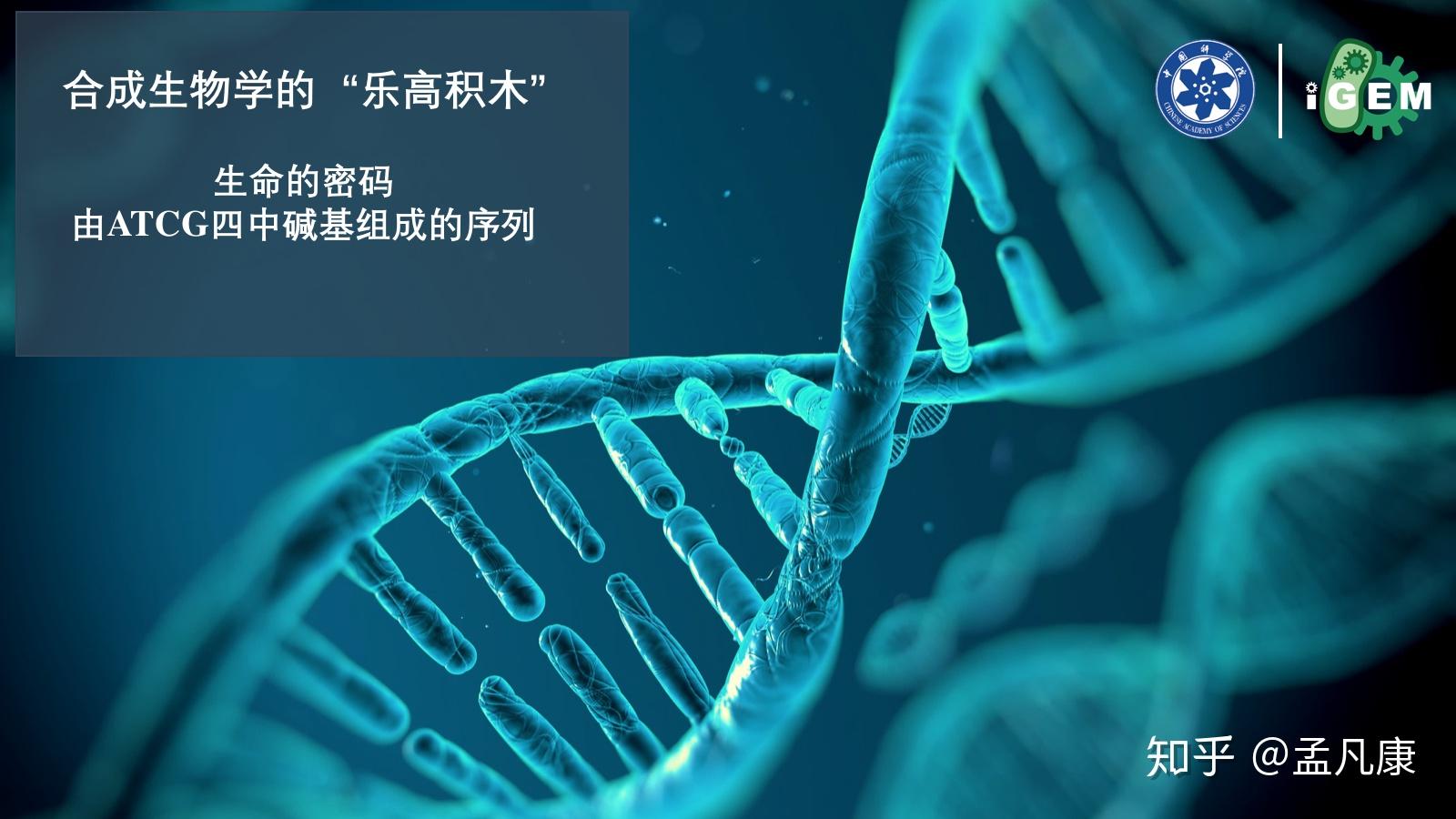 合成生物学的现在与未来丨国科大中学生夏令营科普演讲