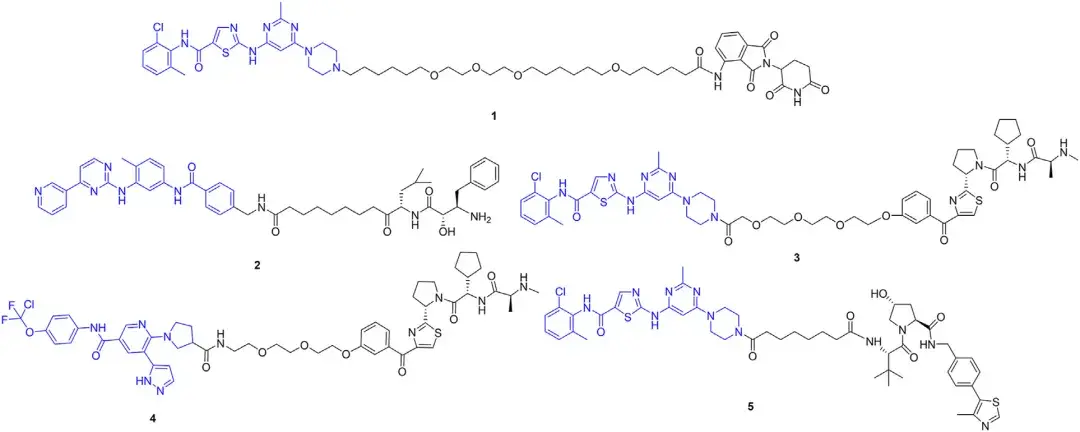 设计合成和生物学评估bcrablprotacs以克服t315i突变