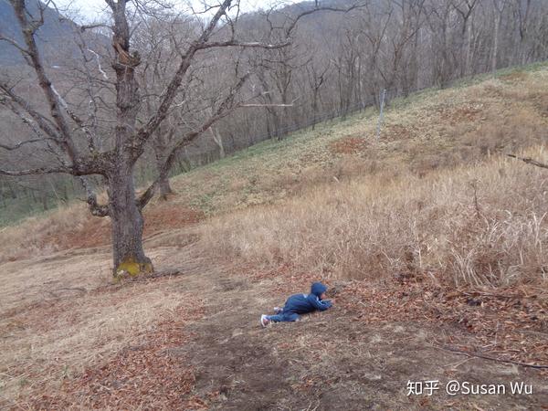 于封山前登群马赤城山展望台 知乎