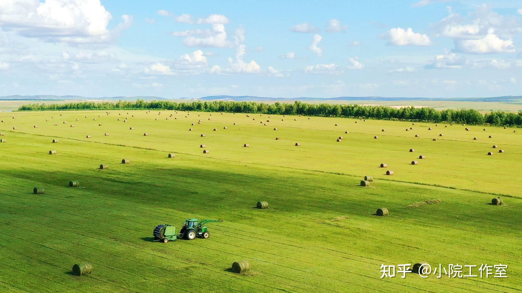 生态恢复|草地生态系统的恢复重建 - 知乎