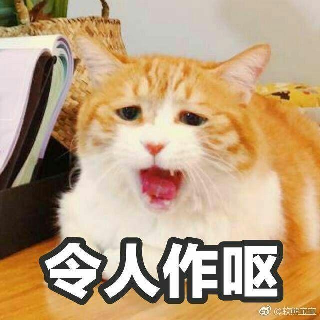 有双胞胎兄弟姐妹是怎样的体验?