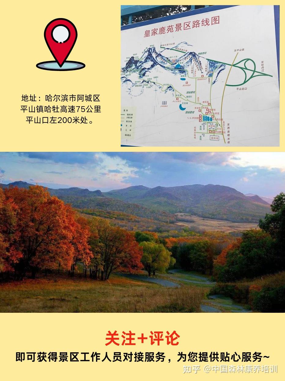 哈尔滨|平山皇家鹿苑,与小鹿来一场约会吧