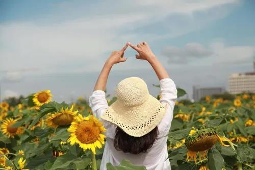 v2-5c1cfc10c52e6668eaf5444136798f7b_1440w.jpg?source=172ae18b