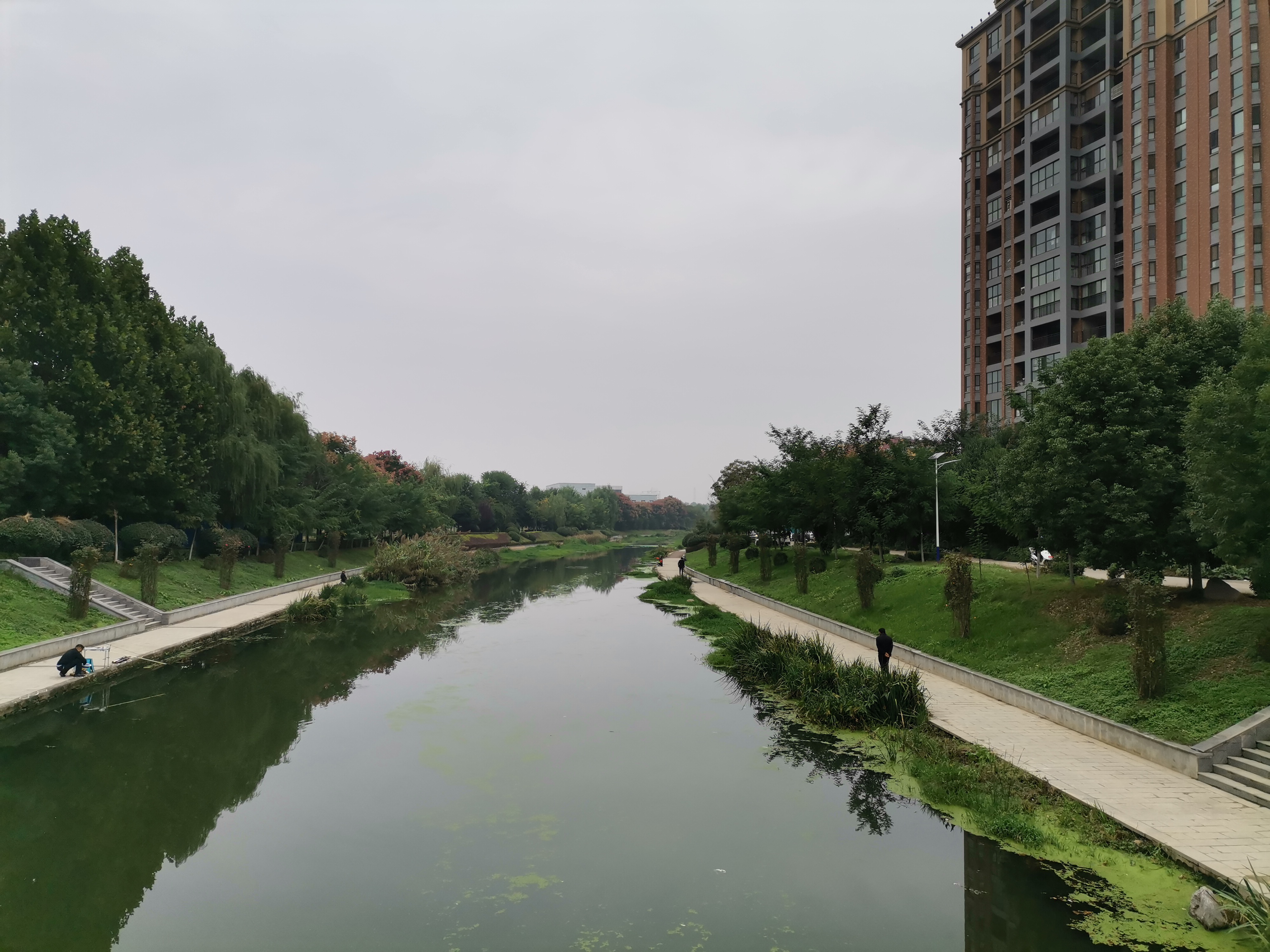 但是市区内许多河段的最终效果,是这样的——(三里河,光武路段)