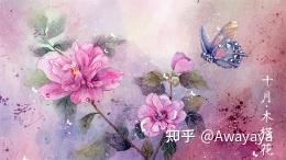 又是一年春 爱花的设计师来收 十二月花语插画 知乎