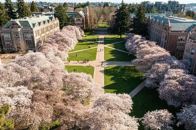 华盛顿大学博塞尔校区图片
