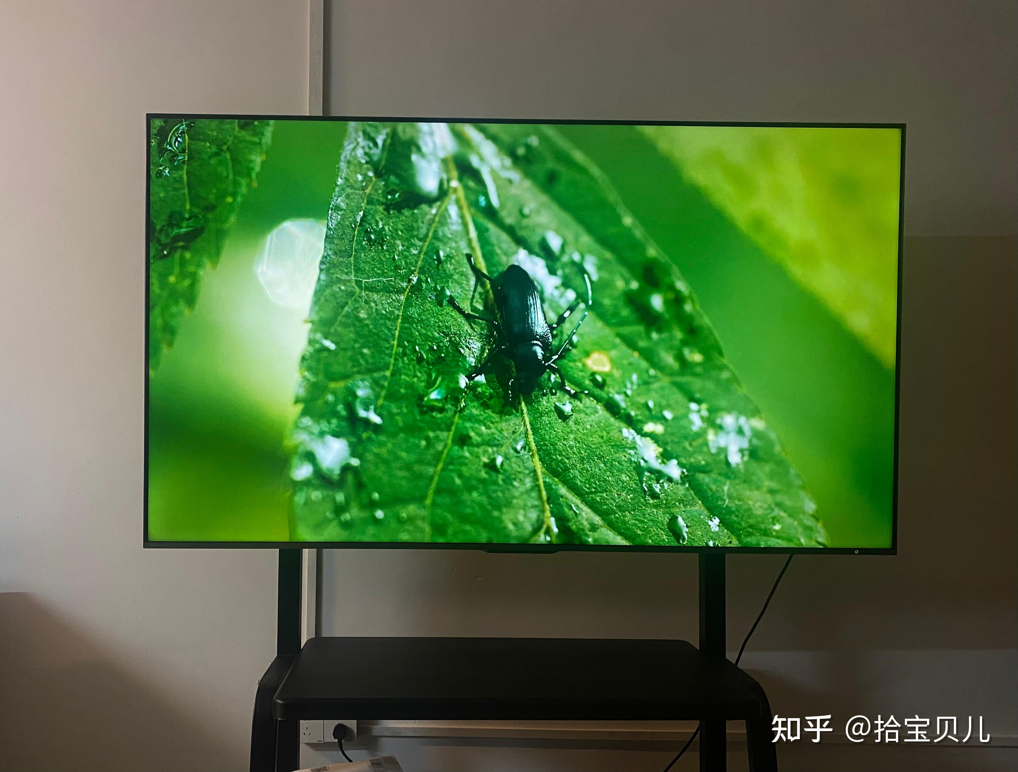 被行业内人称"显微屏"的mini led影院级电视——东芝电视z700nf怎么样