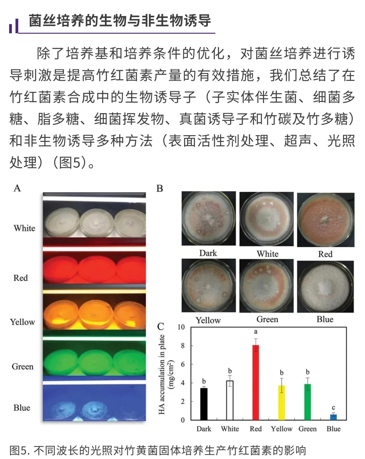 Mycology | 产竹红菌素类光敏剂的竹类真菌及其诱导培养技术 - 知乎