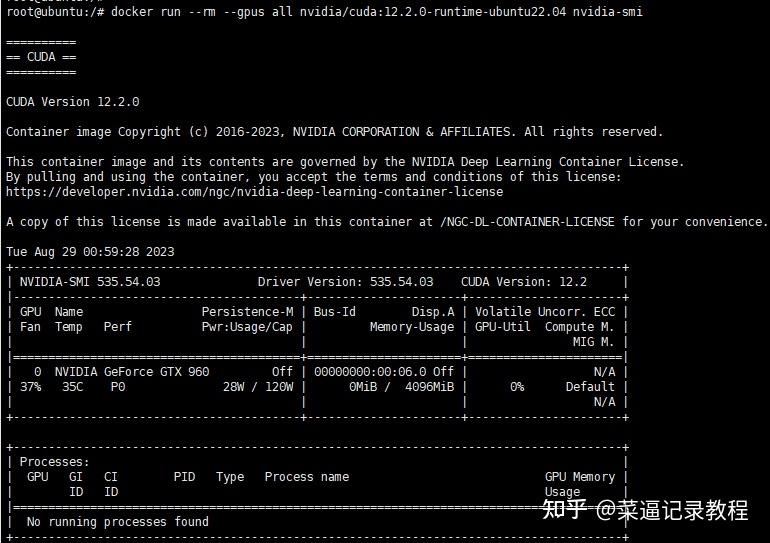  nas docker jellyfin 