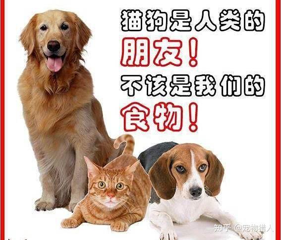 你支持吃狗肉吗?快来投票! - 知乎