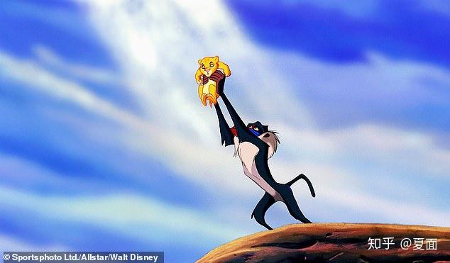 狒狒母子上演狮子王经典一幕