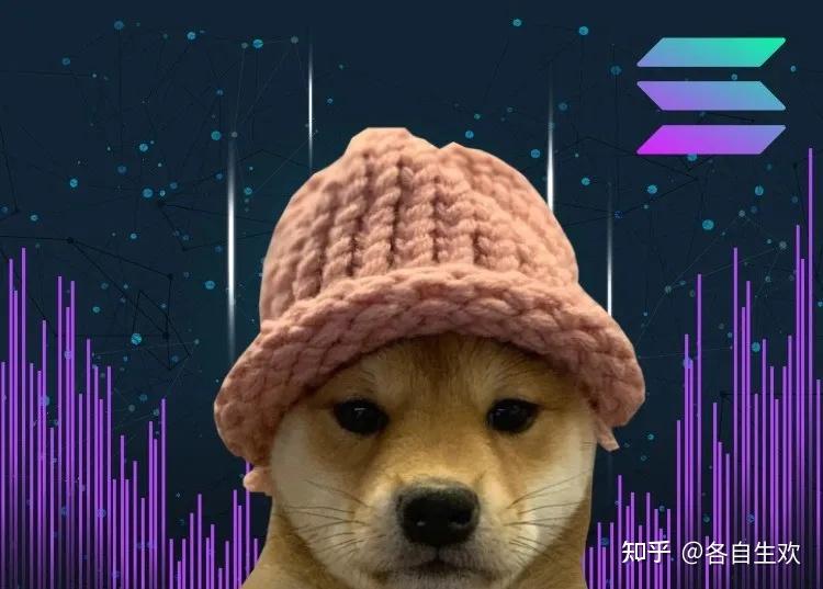 强者恒强万倍帽子狗wif超越bonk卫冕meme新王你是在车里还是在车底