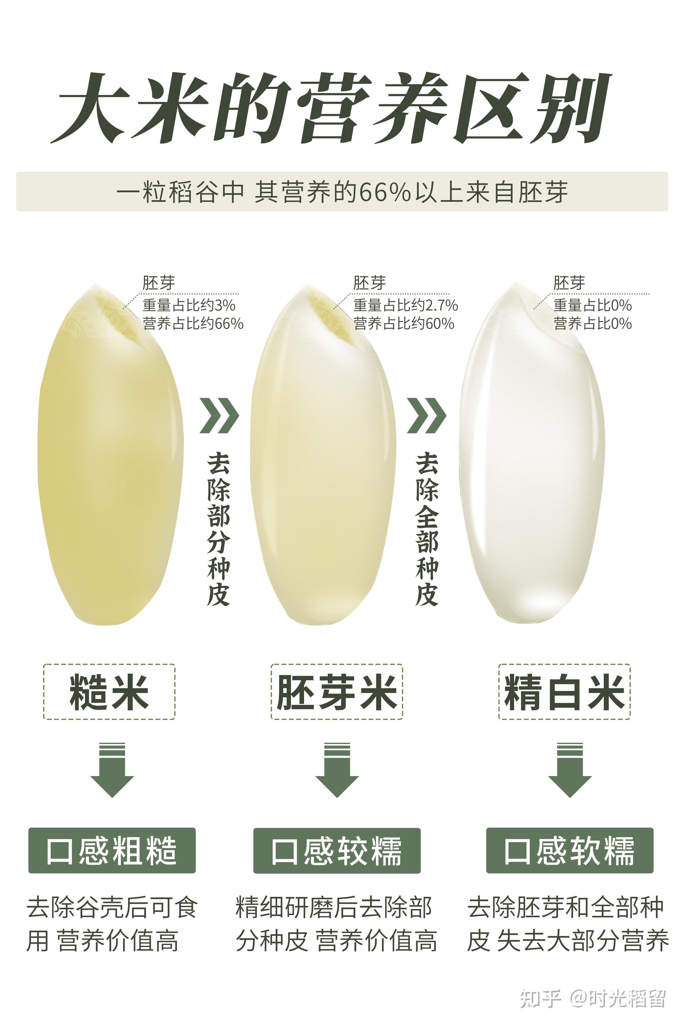 胚芽米是智商税？胚芽米到底该不该买？ - 知乎