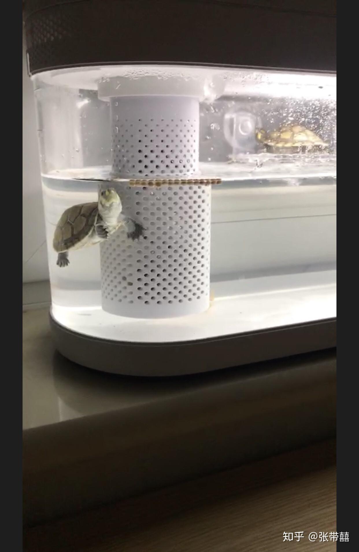 小米几何画法鱼缸